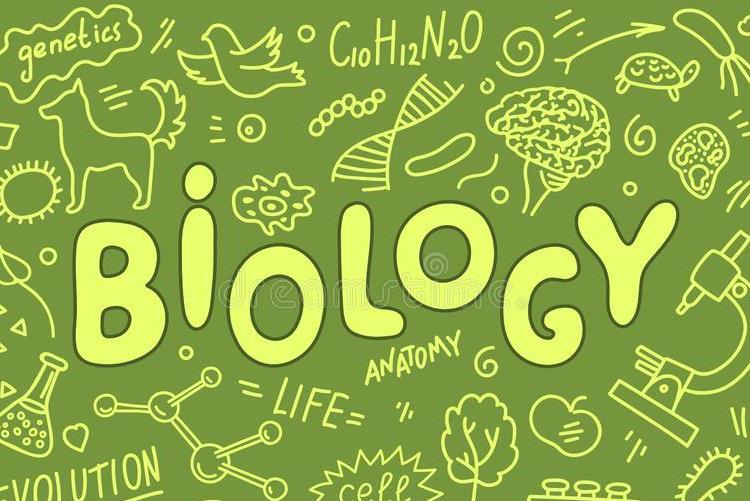 X-3   Biologi